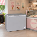Nexon Chest Freezer (Model: NCF-320)