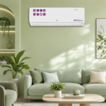 Roch Inverter Air Conditioner (Model: RAC-S24R4I-C)